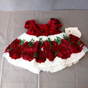 American Princess Baby Girl Red Velvet Floral Dress 6M NWT Special Occasion